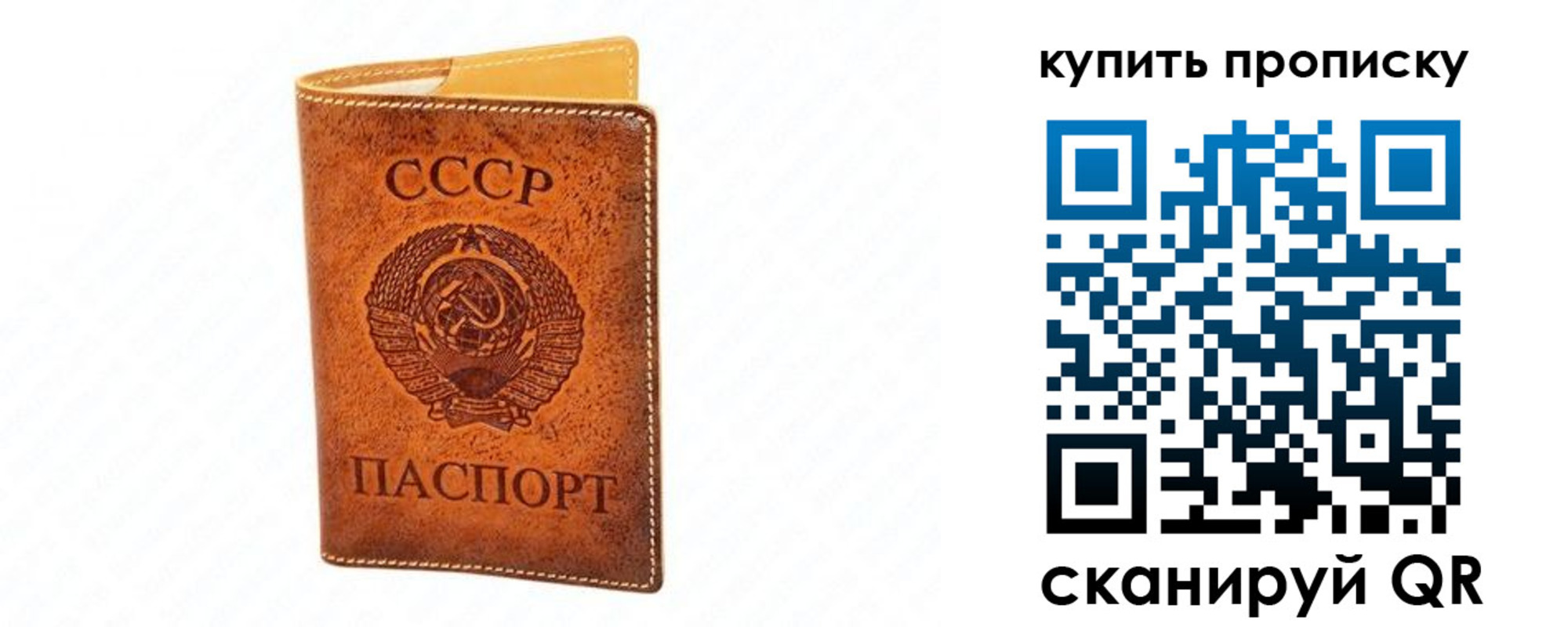 прописка поиск в Петропавловске-Камчатском